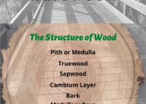 What is the difference between Hardwood and Softwood