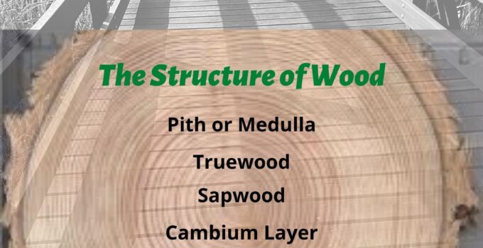 What is the difference between Hardwood and Softwood