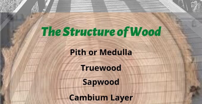What is the difference between Hardwood and Softwood