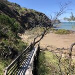 Timber Board Walk