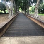 Timber Board Walk