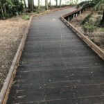 Timber Board Walk